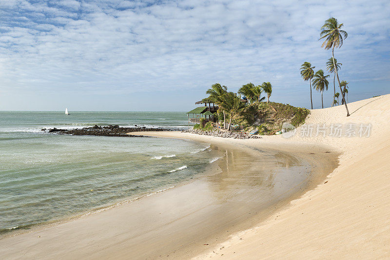 Praia Genipabu janconut和coconut trees圣诞节RN